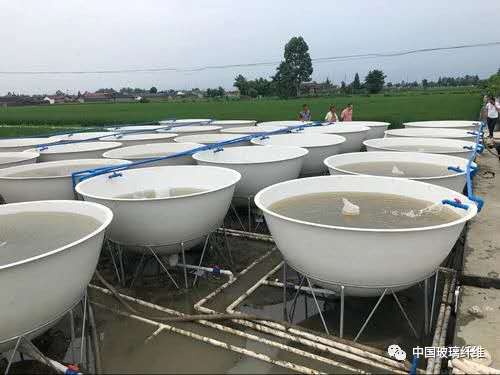 稻魚共生玻璃鋼養(yǎng)魚池